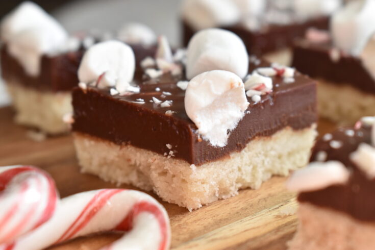 Christmas Fudge with Shortbread