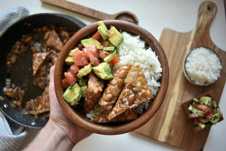 Tempeh Adobo with salsa and rice